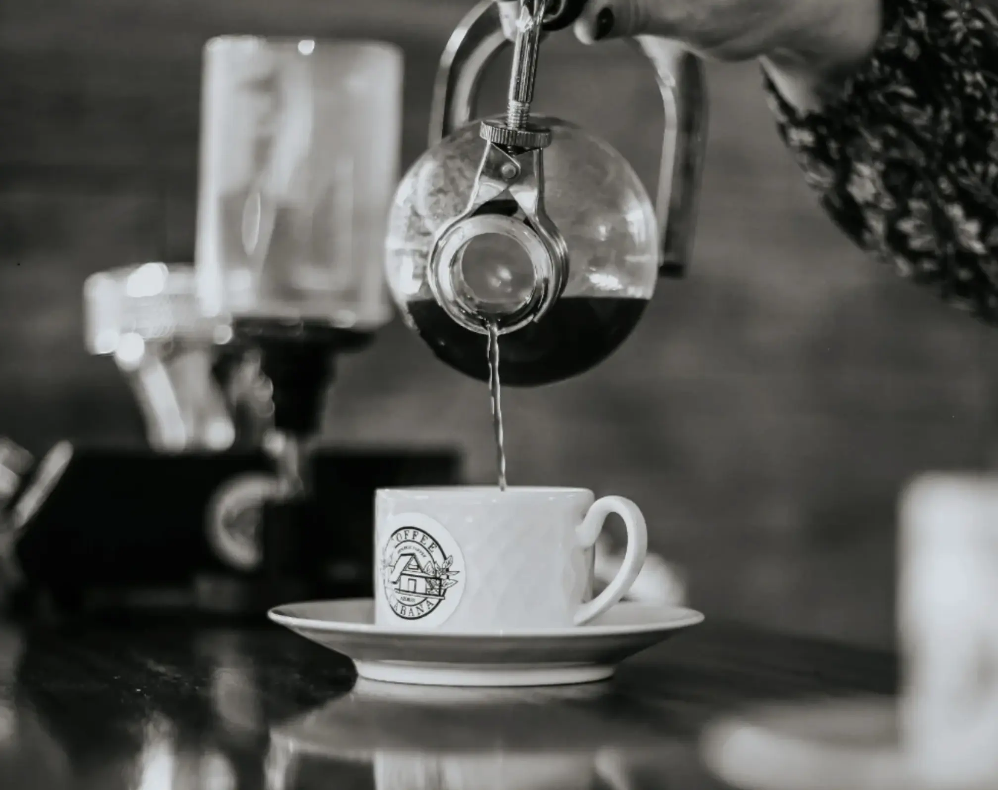 Coffee Cabana - Organic coffee farm 4