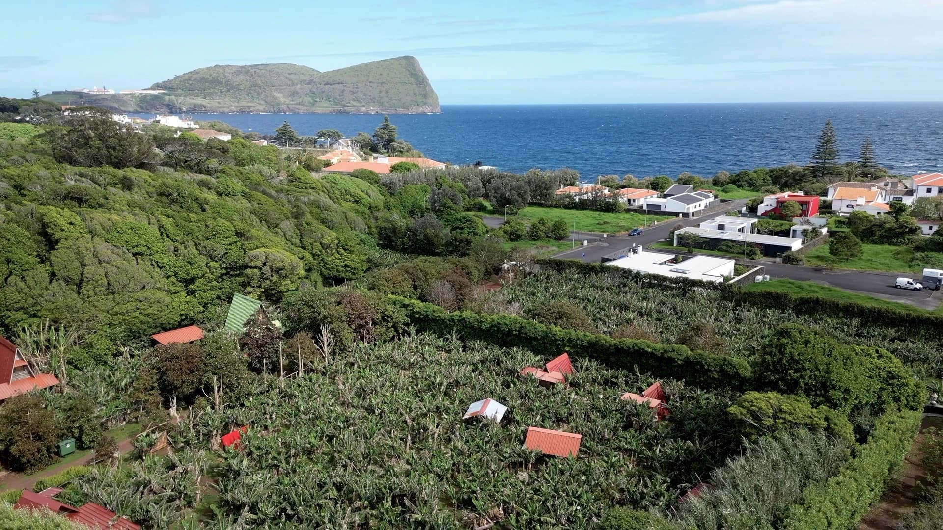 Coffee Cabana - Organic coffee farm in Terceira, Azores